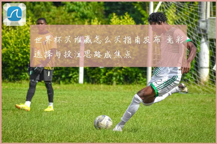 世界杯买谁赢怎么买指南发布 竞彩选择与投注思路成焦点