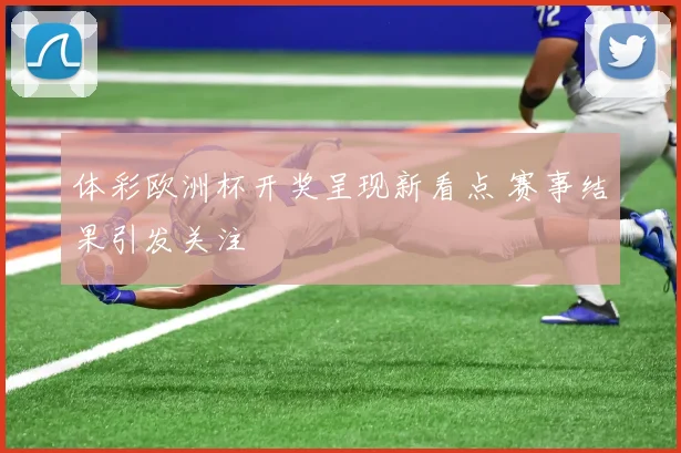 体彩欧洲杯开奖呈现新看点 赛事结果引发关注