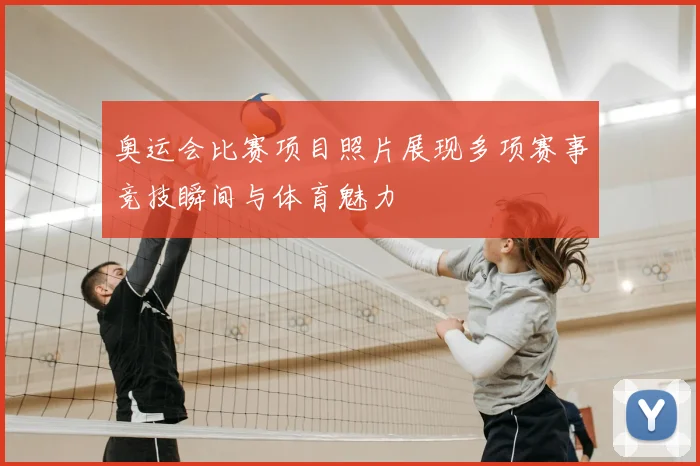 奥运会比赛项目照片展现多项赛事竞技瞬间与体育魅力