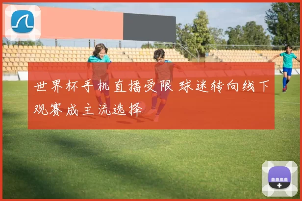 世界杯手机直播受限 球迷转向线下观赛成主流选择