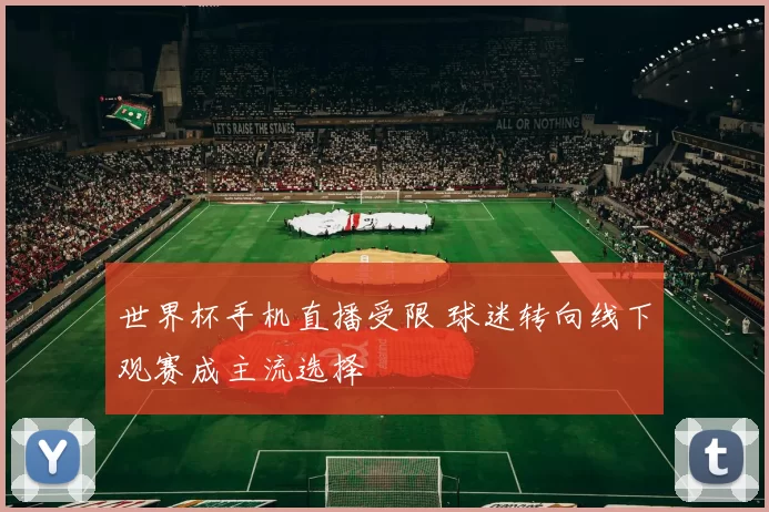 世界杯手机直播受限 球迷转向线下观赛成主流选择