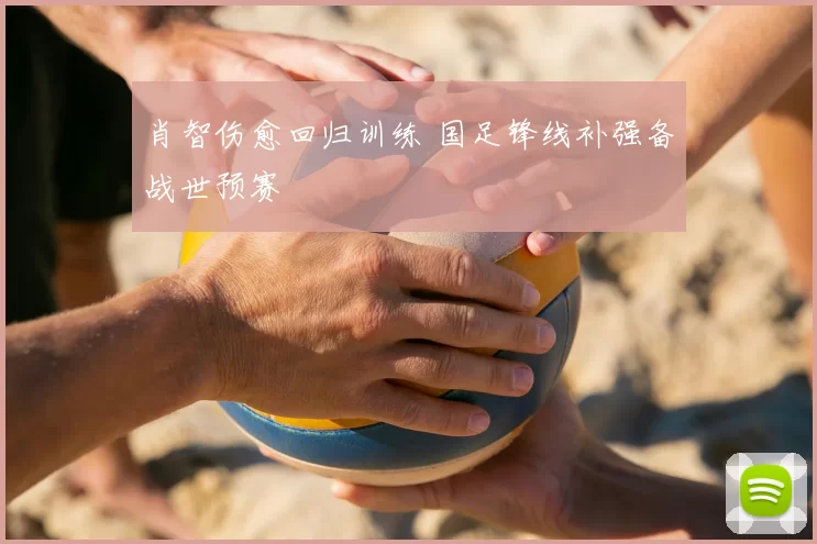 肖智伤愈回归训练 国足锋线补强备战世预赛