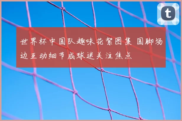 世界杯中国队趣味花絮图集 国脚场边互动细节成球迷关注焦点